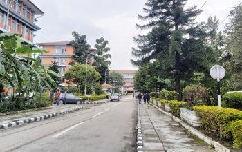 रूखको हाँगा भाँचिएर लाग्दा सिंहदरबारभित्रै कर्मचारी घाइते, उपचारका क्रममा मृत्यु